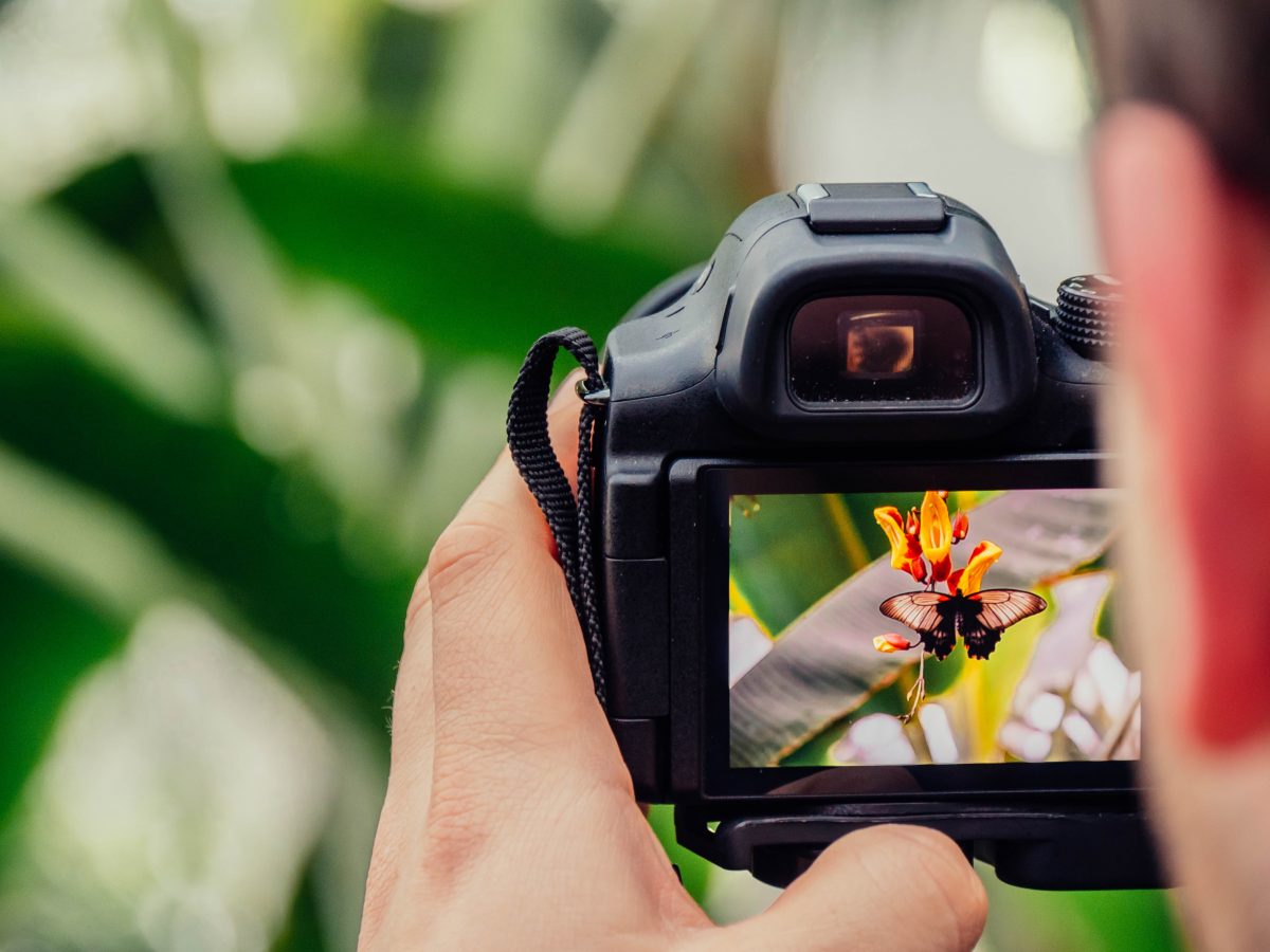 Website Photography