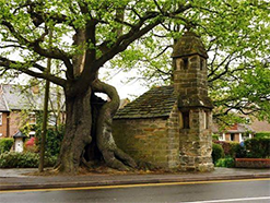 Lingfield Hanging Tree and Old Gaol, also known as The Cage 